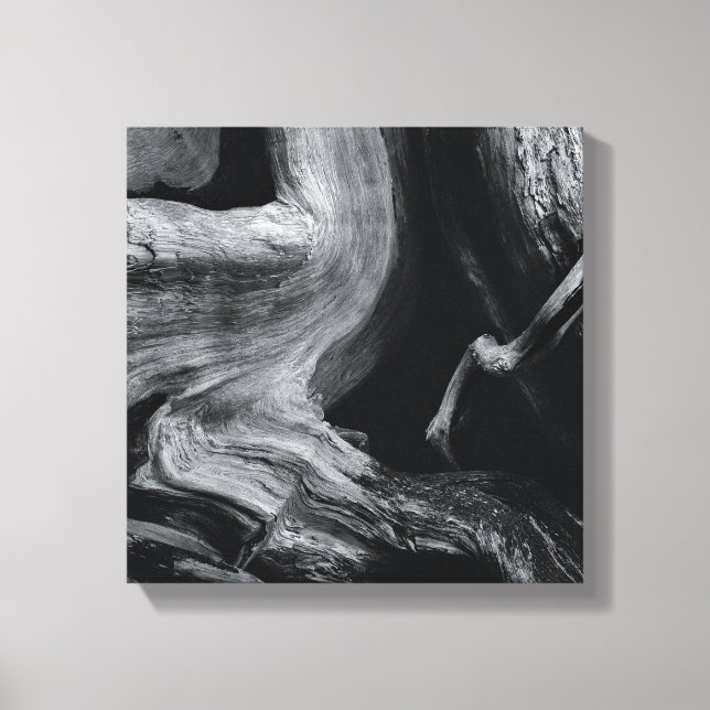 Dead tree trunk canvas print (Front)