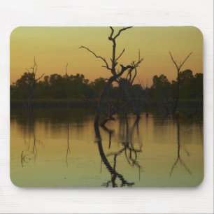 Dead trees reflected in Lily Creek Lagoon, dawn Mouse Pad