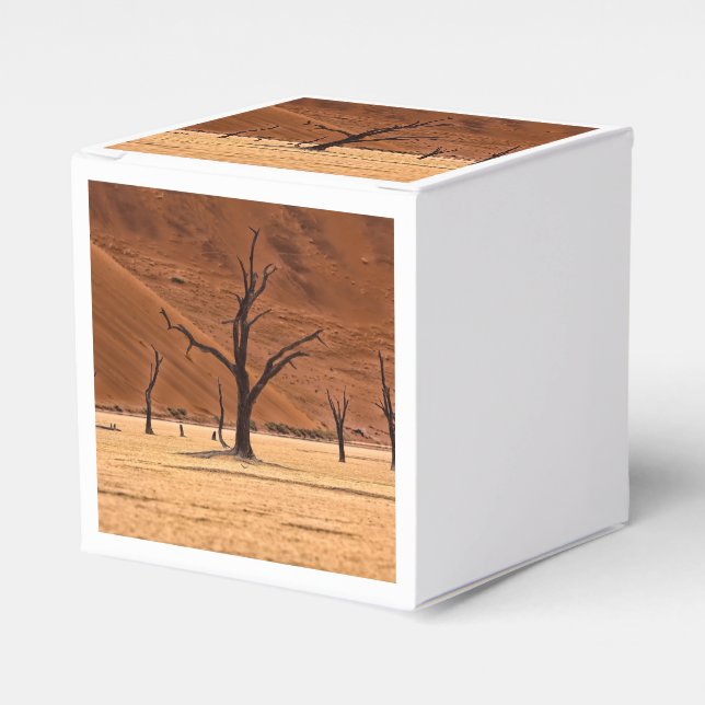 Dead Vlei, Namibia Favour Box (Front Side)