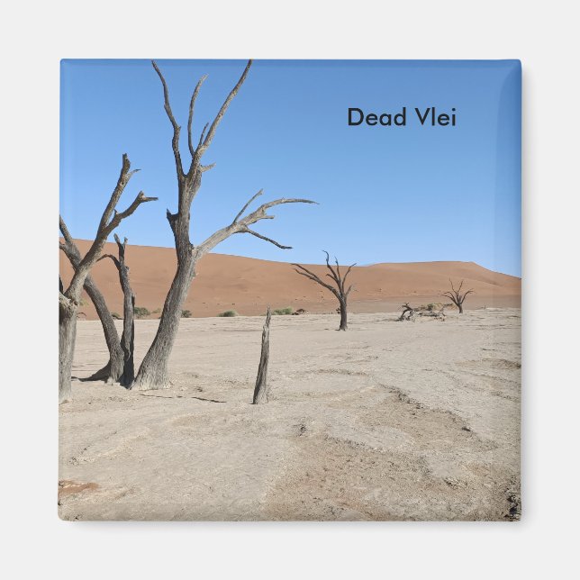 Dead Vlei, Namibia Magnet (Front)