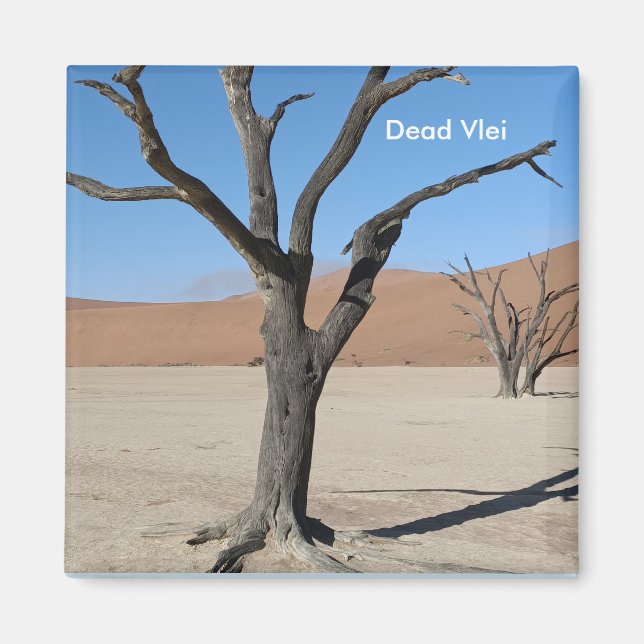 Dead Vlei, Namibia Magnet (Front)