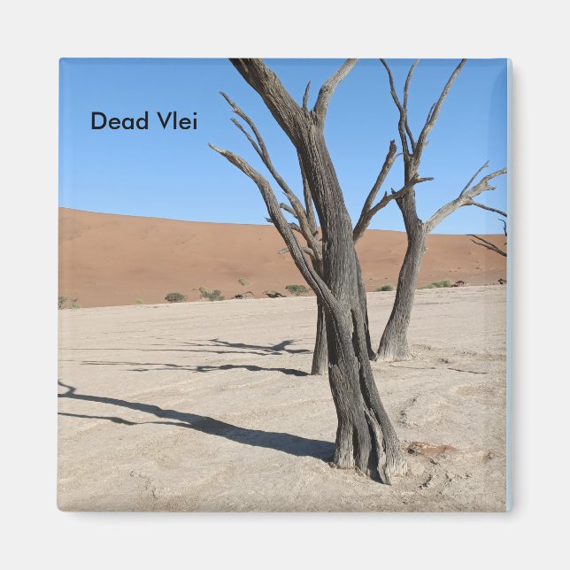 Dead Vlei, Namibia Magnet (Front)