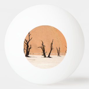 Dead Vlei, Namibia Ping Pong Ball