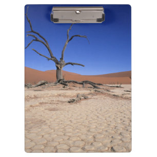 Dead Vlei, Sossusvlei, Namib-Naukluft National Clipboard