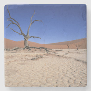 Dead Vlei, Sossusvlei, Namib-Naukluft National Stone Coaster