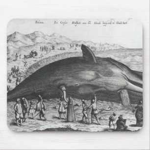 Dead whale mouse pad