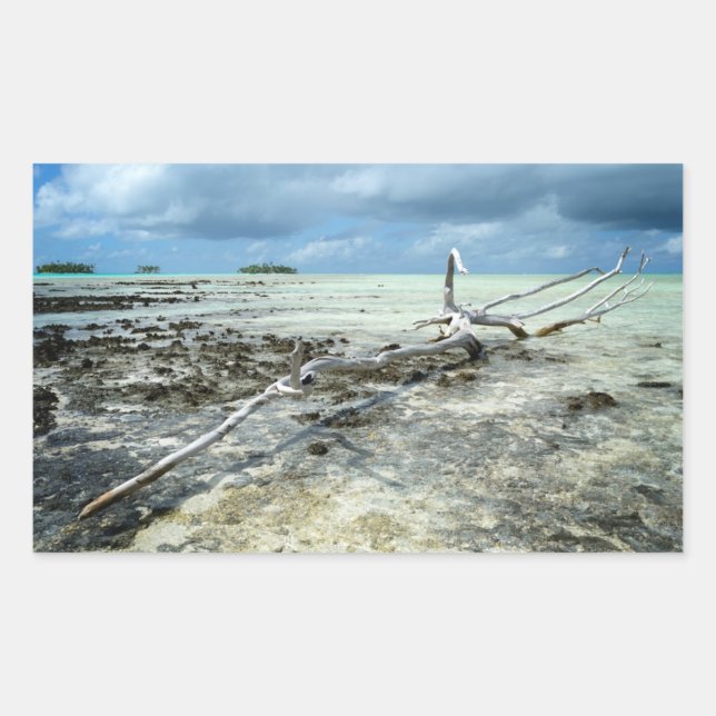 Dead wood in the Pacific rectangular sticker (Front)