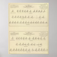 Deaf and Mutism, Statistical US Lithograph
