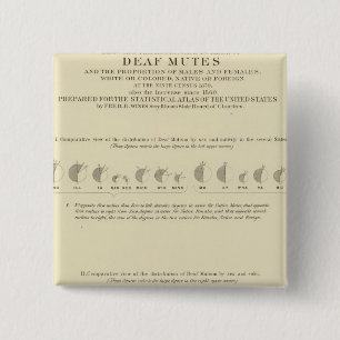 Deaf Mutes, Statistical US Lithograph 1870 15 Cm Square Badge