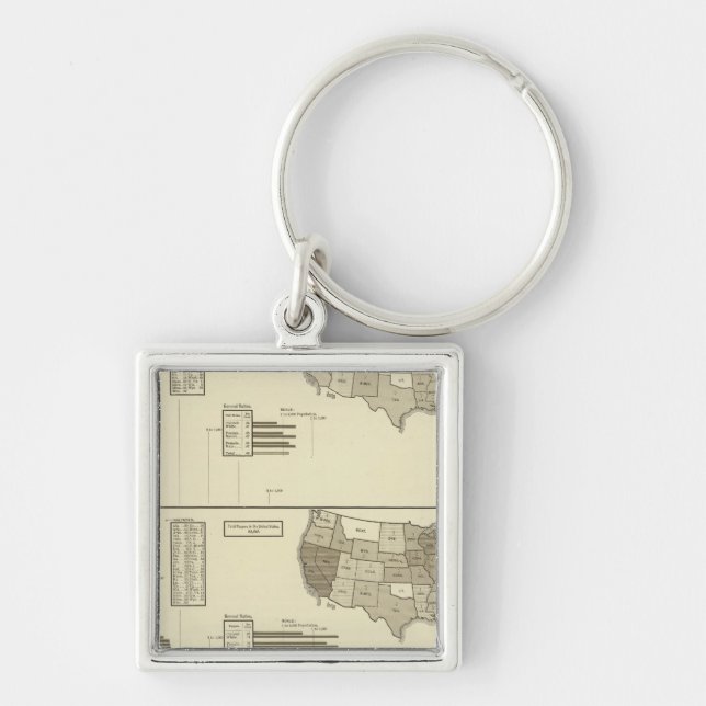 Deaf, Paupers, Prisoners statistical map Key Ring (Front)