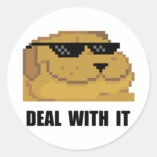 Deal With It Classic Round Sticker (Front)