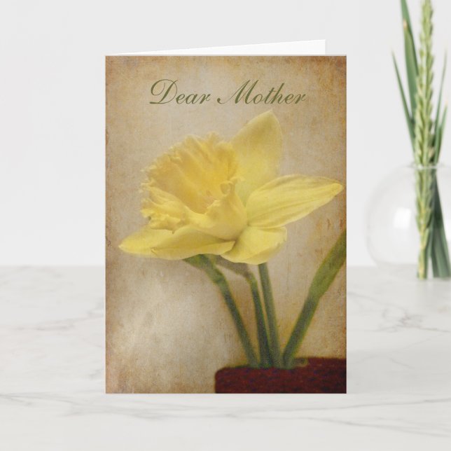 Dean Mother, Light  Daffodil Card (Front)