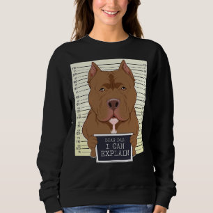 Dear Dad I Can Explain I Pitbull Dad I Pitbull Sweatshirt