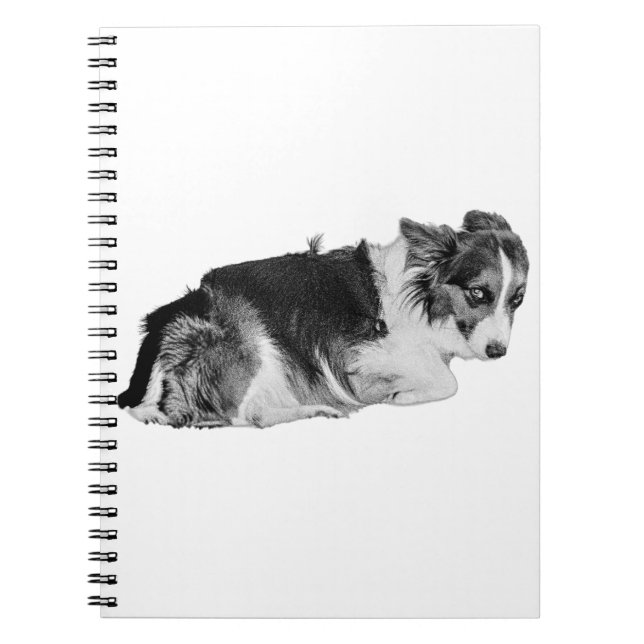Dear Diary, Am I Good? Notebook (Front)