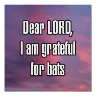 Dear LORD, I am grateful for bats Poster