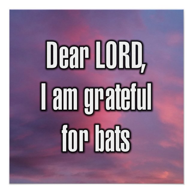 Dear LORD, I am grateful for bats Poster (Front)
