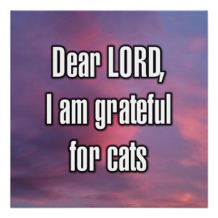 Dear LORD, I am grateful for cats Poster