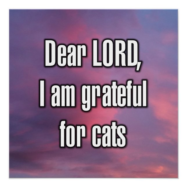 Dear LORD, I am grateful for cats Poster (Front)