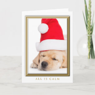 Dear Santa All is Calm Puppy Holiday Card