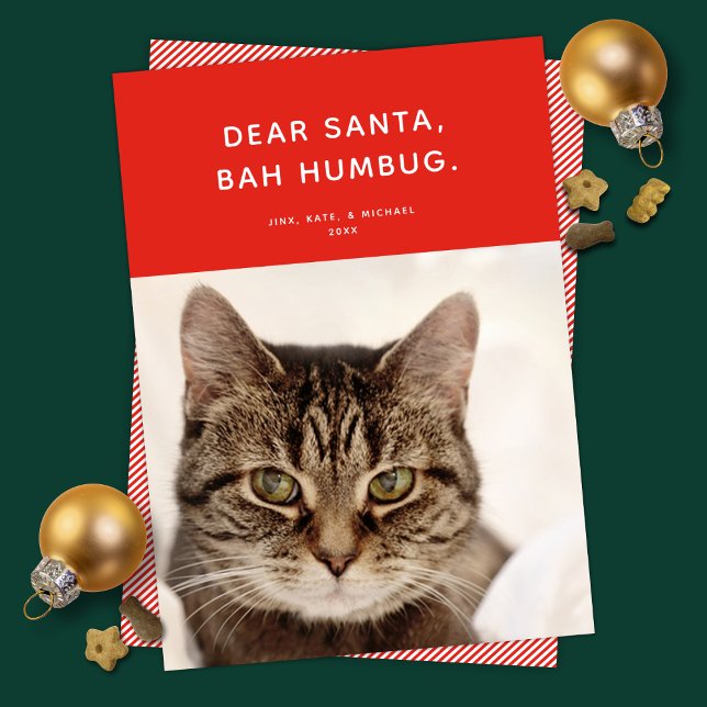 Dear Santa, Bah Humbug. Funny Holiday Photo (Creator Uploaded)