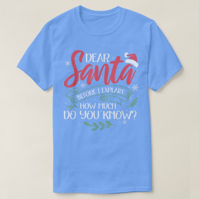 Dear Santa Before I Explain Funny Christmas Matchi T-Shirt (Design Front)