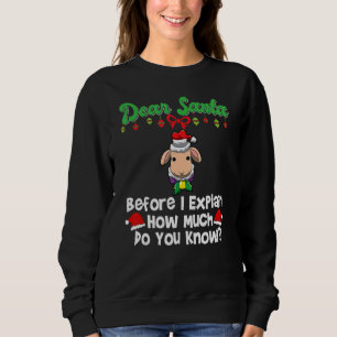 Dear Santa Before I Explain How Much Do You Know_3 Sweatshirt