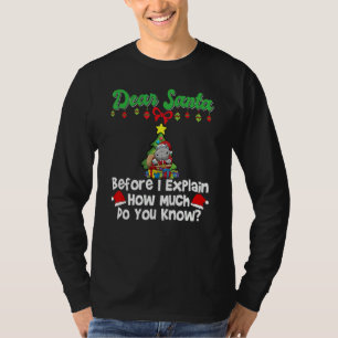 Dear Santa Before I Explain How Much Do You Know_3 T-Shirt