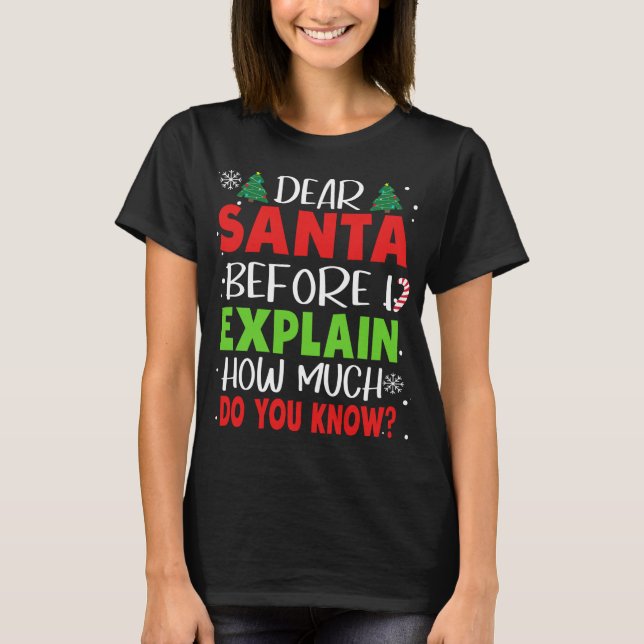 Dear Santa Before I Explain How Much Do You Know F T-Shirt (Front)