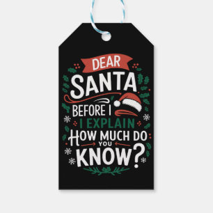 Dear Santa Before I Explain How Much Do You Know Gift Tags