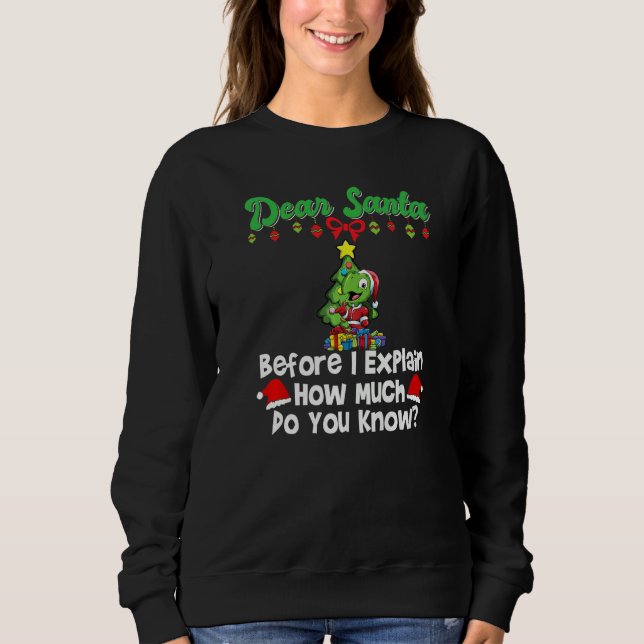 Dear Santa Before I Explain How Much Do You Know P Sweatshirt (Front)
