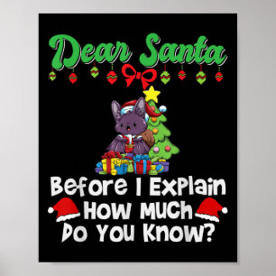 Dear Santa Before I Explain How Much Do You Know Poster
