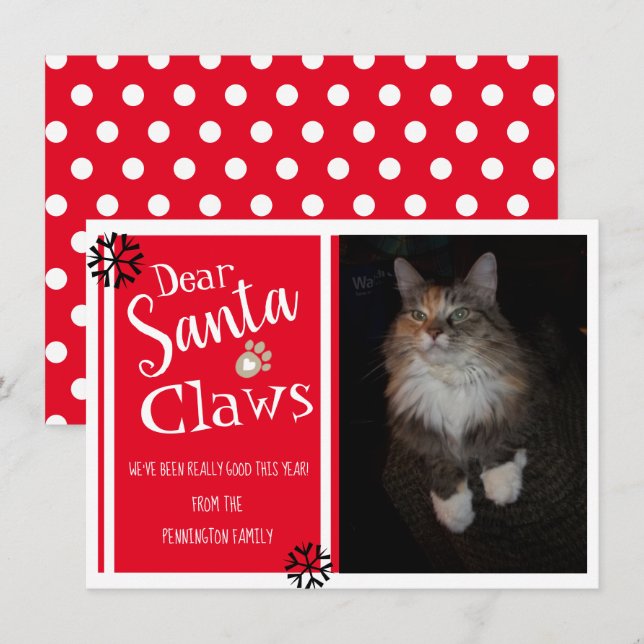 Dear Santa Claws Fun Cat Photo Holiday Card (Front/Back)