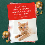 Dear Santa Cute Funny Pet Holiday Photo Card<br><div class="desc">This cute, funny holiday photo card features a festive red background, simple white type, and a single photo. The greeting reads "Dear Santa, before I explain, how much do you already know?" This design would be perfect for a pet but also works great for mischievous kids and adults! The backer...</div>