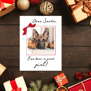 Dear Santa Cute Pet Christmas Custom Photo Holiday Postcard