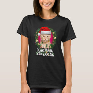 Dear Santa Cute Red Tabby Cat Naughty for Christma T-Shirt