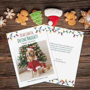 Dear Santa Define Naughty Funny Dog Photo Holiday Card