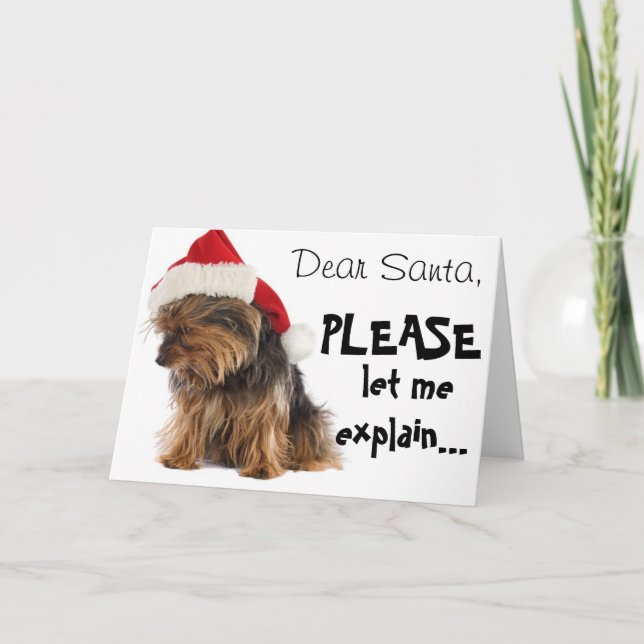 Dear Santa...explain Holiday Card (Front)