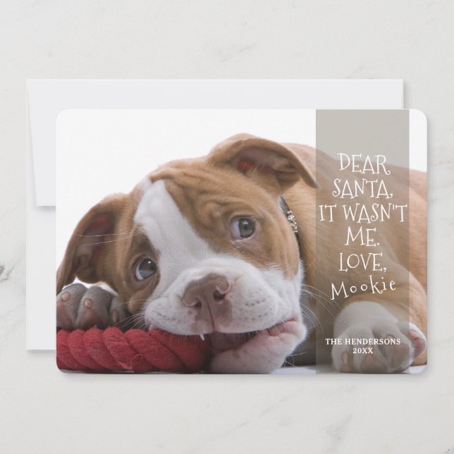 Dear Santa Good Dog Photo Christmas Greeting Holiday Card (Front)
