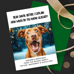 Dear Santa How Much Do You Know Already? Christmas Holiday Card