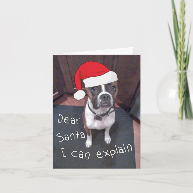 Dear Santa I Can Explain Holiday Card (Front)