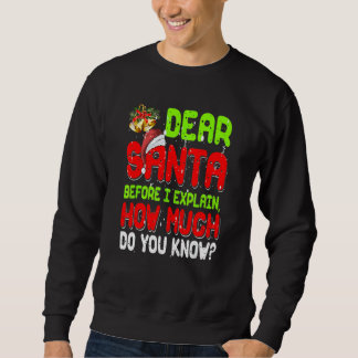 Dear Santa I Can Explain Xmas Pajama For Christmas Sweatshirt