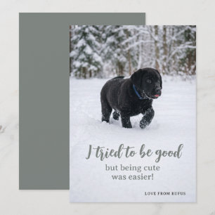 Dear Santa I Tried To Be Good Photo Holiday Card