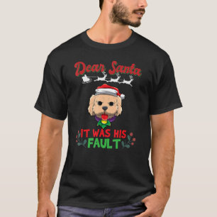 Dear Santa It Was His Fault Siblings Matching Xmas T-Shirt