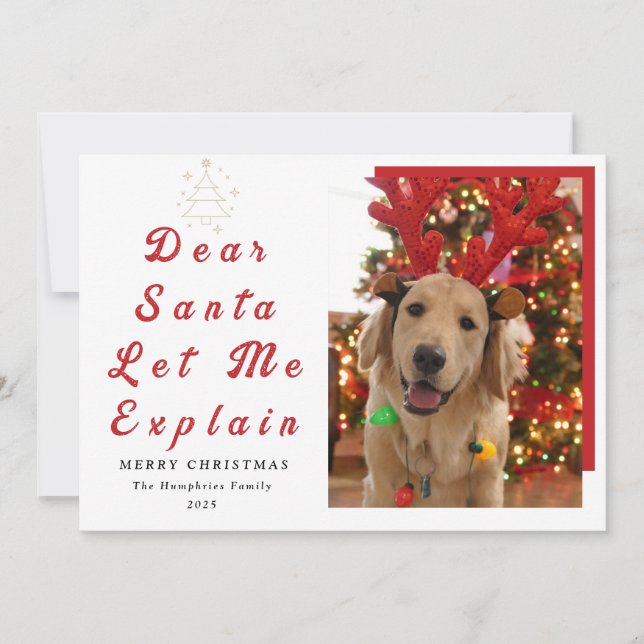 Dear Santa, Let Me Explain – Funny Pet Christmas  Holiday Card (Front)