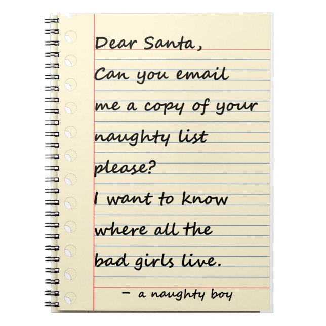 DEAR SANTA LETTER from a naughty boy Spiral Notebook (Front)