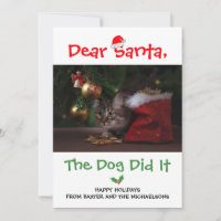 Dear Santa, The Dog Did It Funny Pet Photo