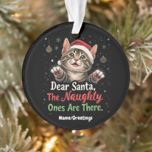 Dear Santa, They Are the Naughty Ones Funny Ornament