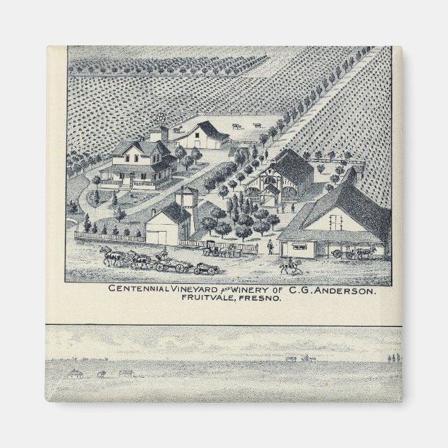 Deardorff and Centennial Vineyards, California Magnet (Front)