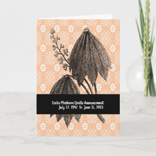 Death Announcement for Female with Umbrella Plant