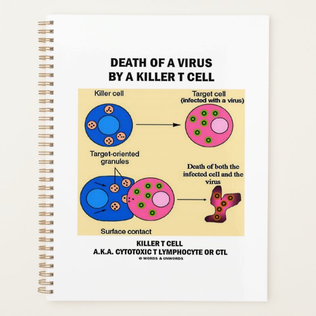 Death Of A Virus By A Killer T Cell Immunology Planner (Front)